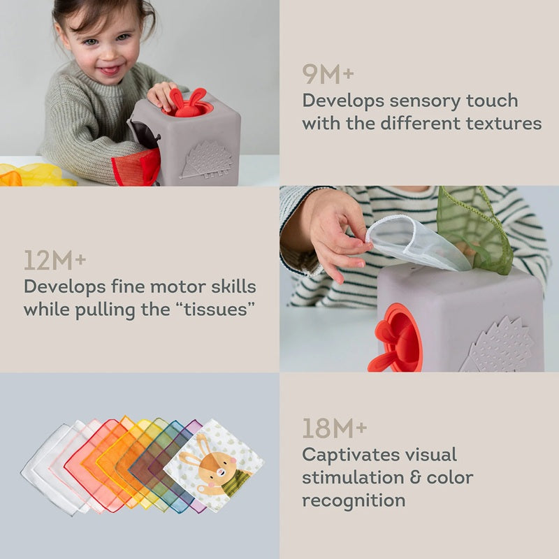 Taf Toys Pop Up Tissue Box 12M+