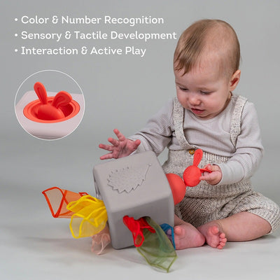 Taf Toys Pop Up Tissue Box 12M+