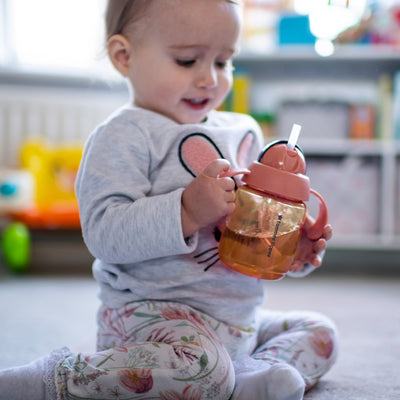 Tommee Tippee Toddler Cup Weighted Straw 300ml 6m+ - Rose