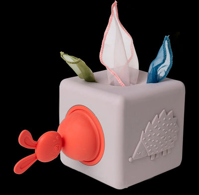Taf Toys Pop Up Tissue Box 12M+