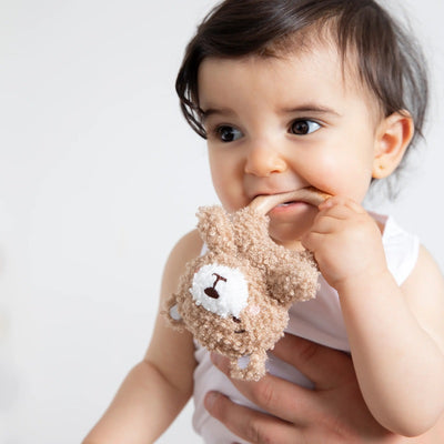 Living Textiles Ring Rattle & Dummy Chain Gift Set - Cuddly Bear