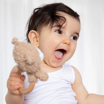 Living Textiles Ring Rattle & Dummy Chain Gift Set - Cuddly Bear