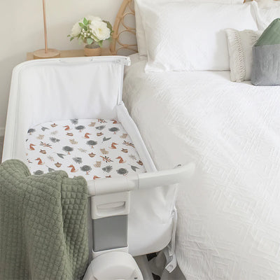 Living Textiles 2 Pack Jersey Bedside Sleeper Fitted Sheet - Forest Retreat