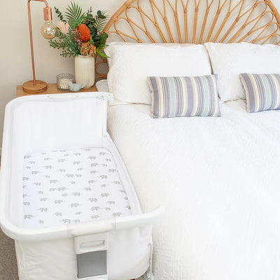 Living Textiles 2 Pack Bedside Bassinet Fitted Sheet - Watercolour Elephant