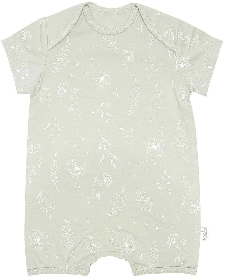 Toshi Onesie Short Sleeve - Dandelion