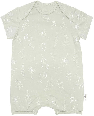 Toshi Onesie Short Sleeve - Dandelion