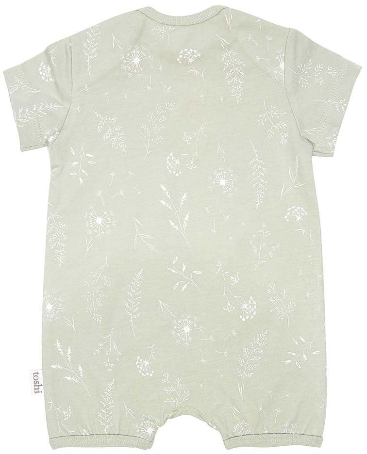 Toshi Onesie Short Sleeve - Dandelion
