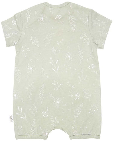 Toshi Onesie Short Sleeve - Dandelion
