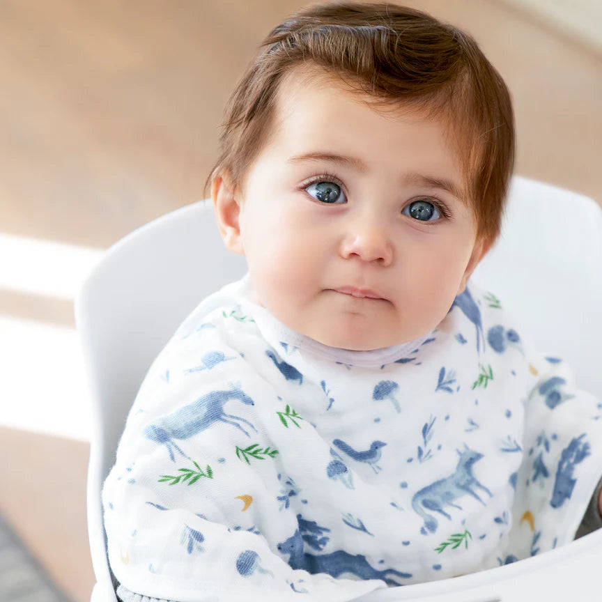 Aden and Anais Organic 2 pack Burpy Bibs - Outdoors