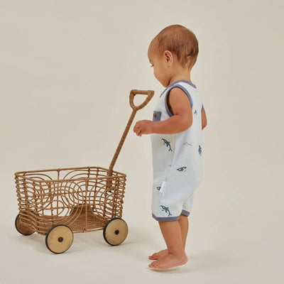 Aster & Oak Orca Henley Romper - Blue