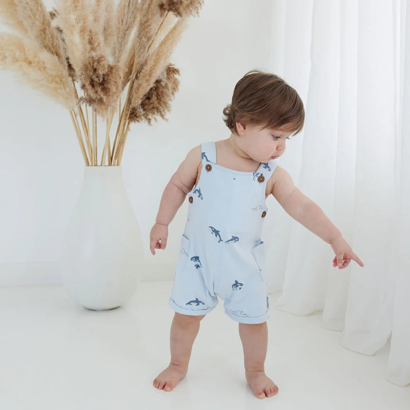 Aster & Oak Orca Overalls - Blue