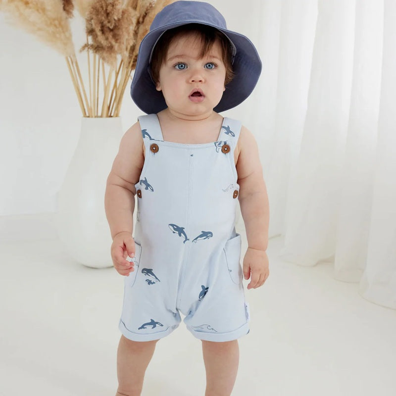 Aster & Oak Orca Overalls - Blue