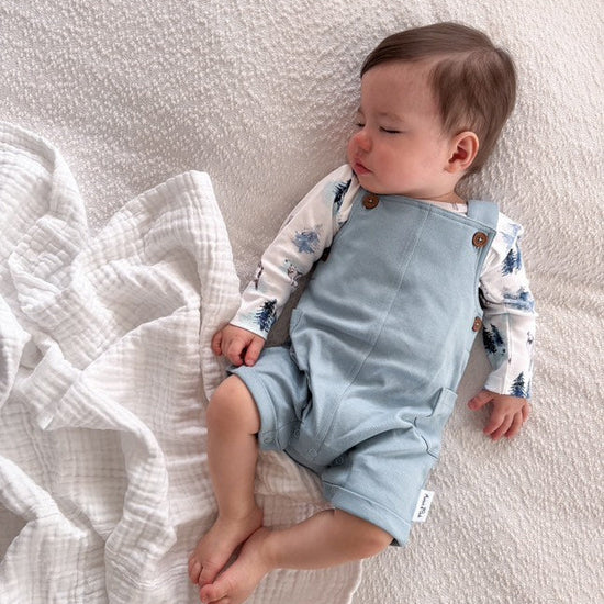 Aster & Oak Snow Animals Overall Set - Blue