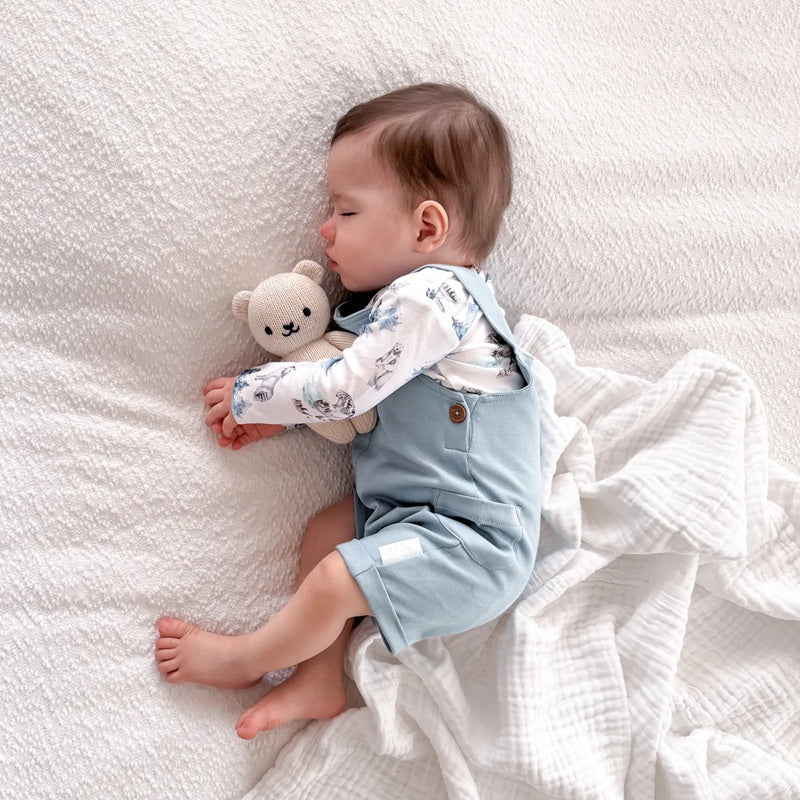 Aster & Oak Snow Animals Overall Set - Blue