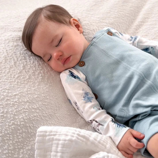 Aster & Oak Snow Animals Overall Set - Blue