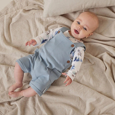 Aster & Oak Snow Animals Overall Set - Blue