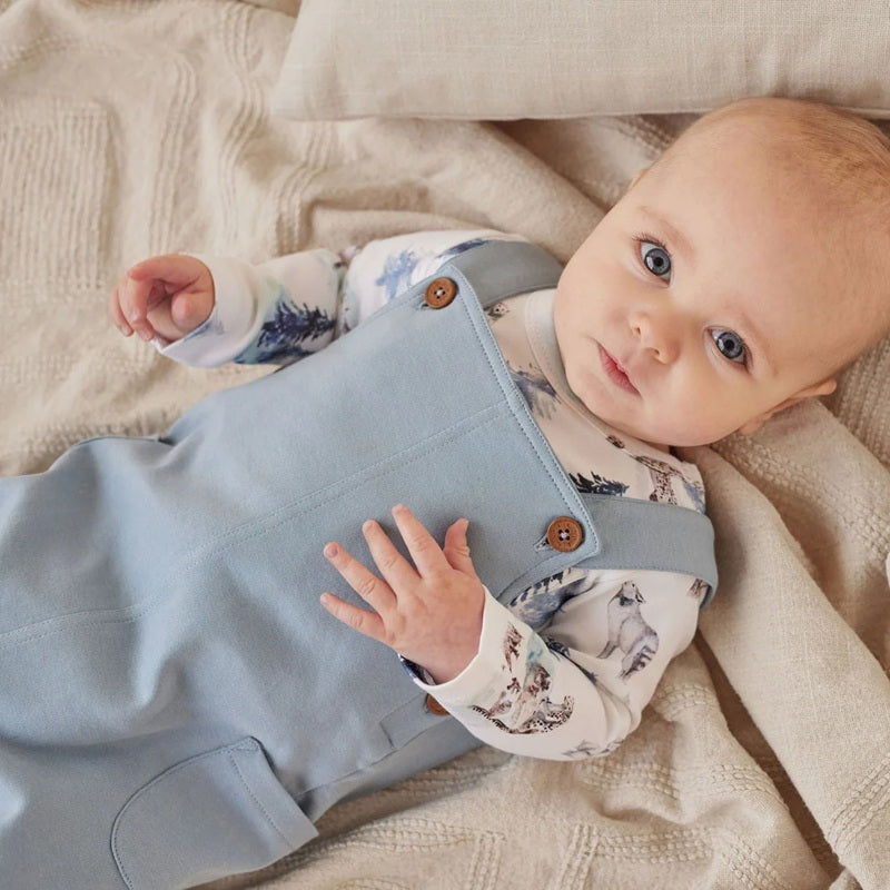 Aster & Oak Snow Animals Overall Set - Blue