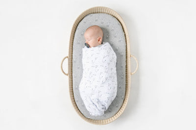 Mister Fly Bassinet Sheet Set 2 Pack - Giraffe