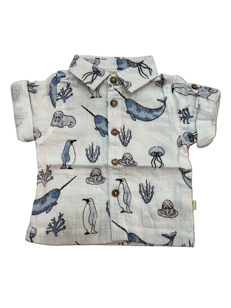 Tiny Twig Gandhi Shirt - Atlantis