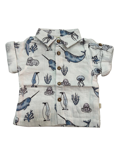 Tiny Twig Gandhi Shirt - Atlantis