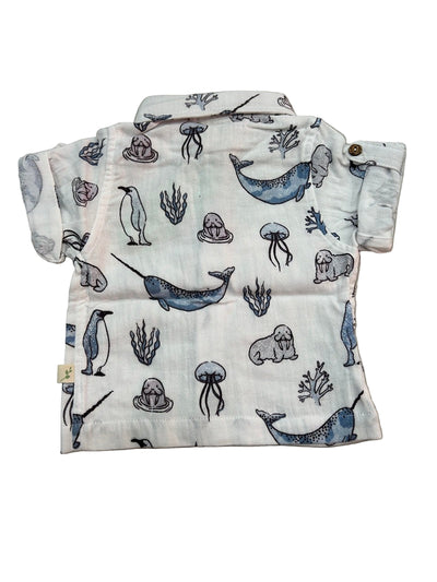 Tiny Twig Gandhi Shirt - Atlantis