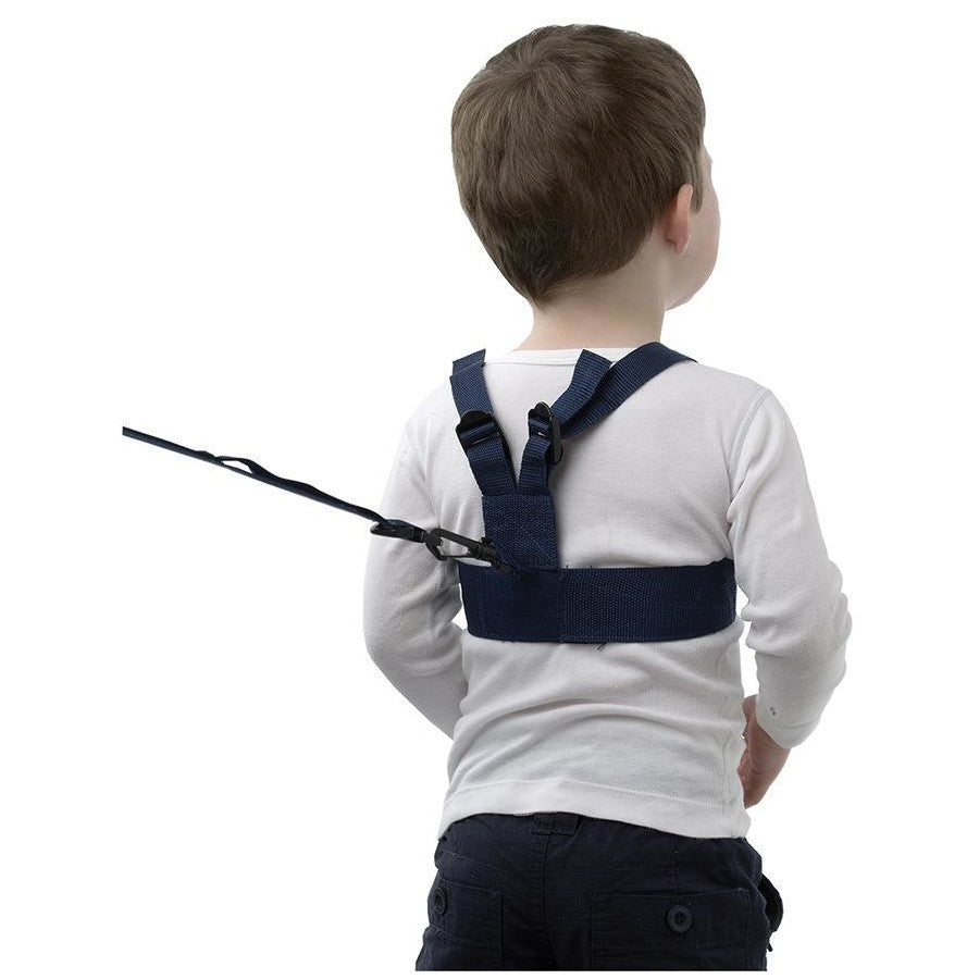Playgro Harness & Wrist Strap
