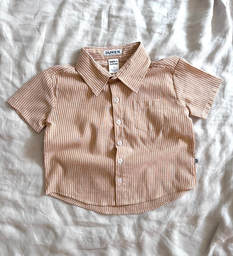 Dukes The Brand Mocha Striped Dress Shirt