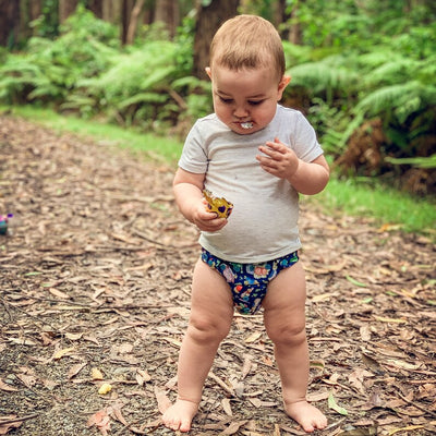 Monarch Ultimate Wipeable Cloth Nappy V3.0 With Hook & Loop - Peter Rabbit Classic