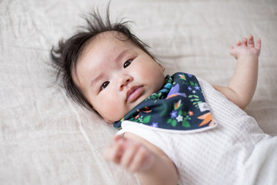 Emotion & Kids Organic Cotton Bandana Bibs 2 Pack - Hummingbirds