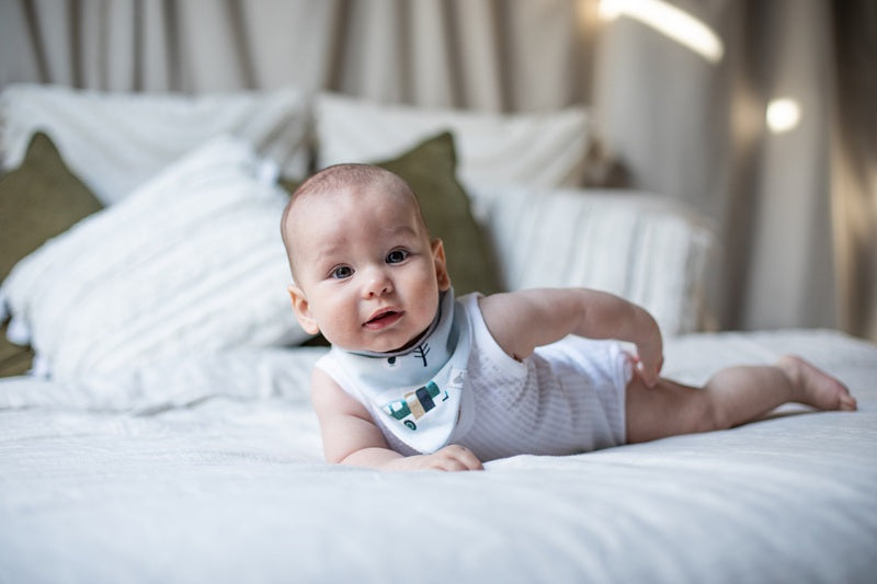 Emotion & Kids Organic Cotton Bandana Bibs 2 Pack - Retro Camping