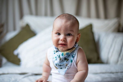 Emotion & Kids Organic Cotton Bandana Bibs 2 Pack - Retro Camping