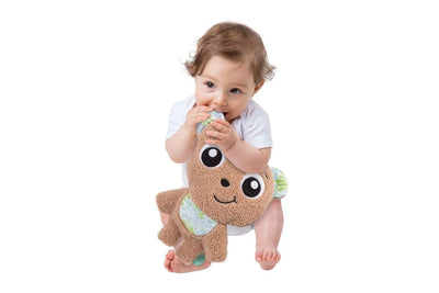 Playgro Flat Comfort Bear