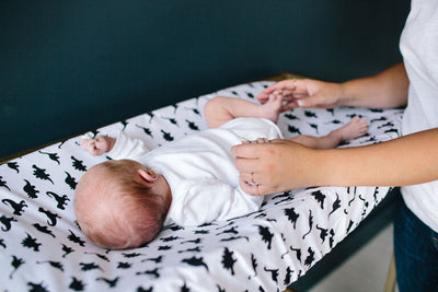 Copper Pearl Premium Knit Diaper Changing Pad Cover - Wild