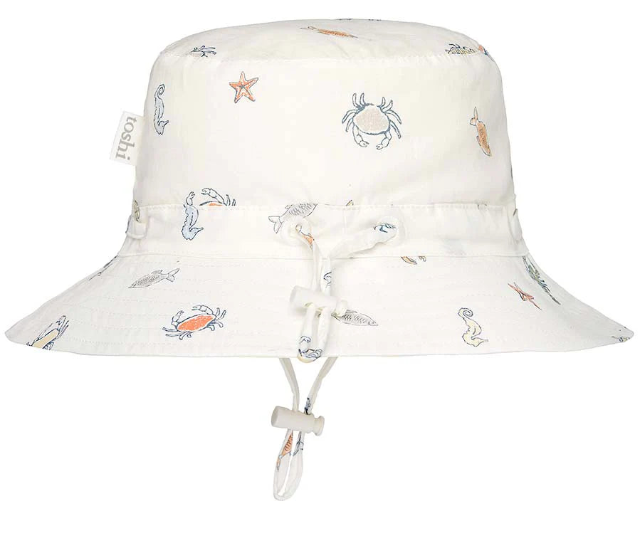 toshi Sunhat creatures - rock pool
