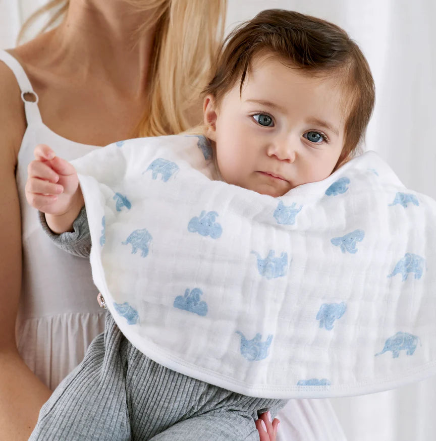 Aden and Anais Organic 2 pack Burpy Bibs - Animal Kingdom