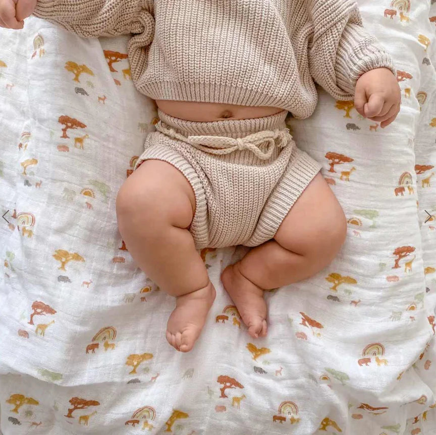 Aden and Anais - Classic 2 pack Swaddle - Keep Rising