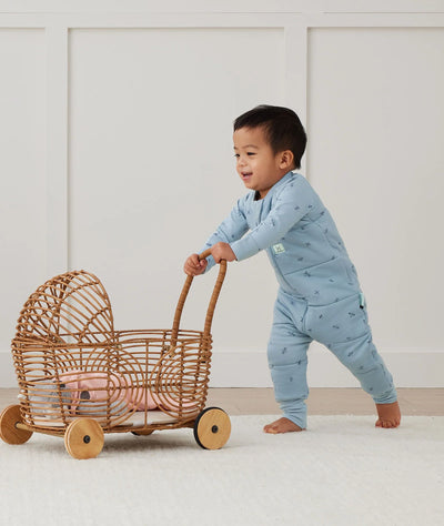 ergoPouch Australia Sleep Onesie 2.5 TOG - Dragonflies