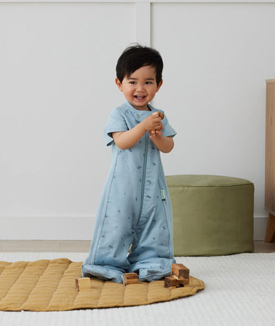 ergoPouch Australia Sleep Suit Bag 1.0 TOG - Dragonflies