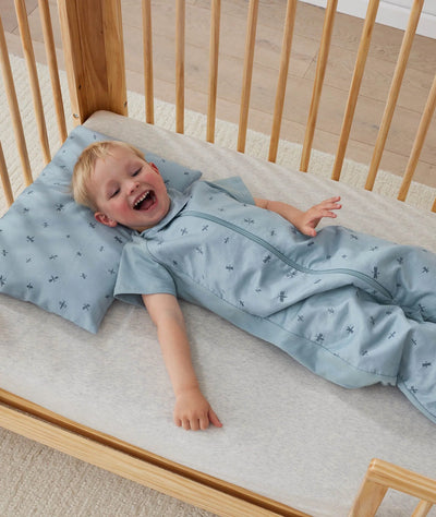 ergoPouch Australia Sleep Suit Bag 1.0 TOG - Dragonflies