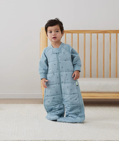 ergoPouch Australia Sleep Suit Bag 3.5 TOG - Dragonflies