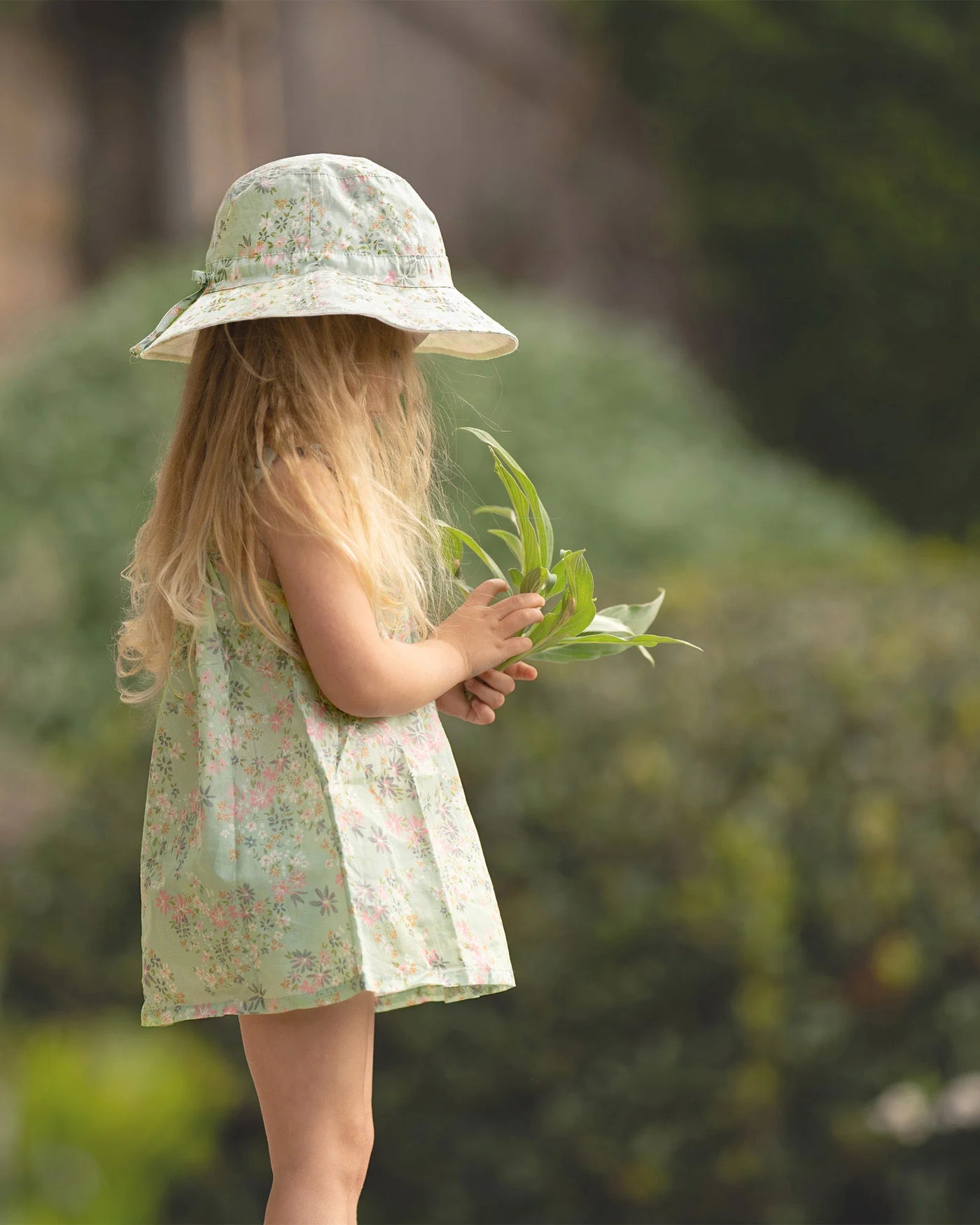 Toshi Babye Dress Athena - Thyme