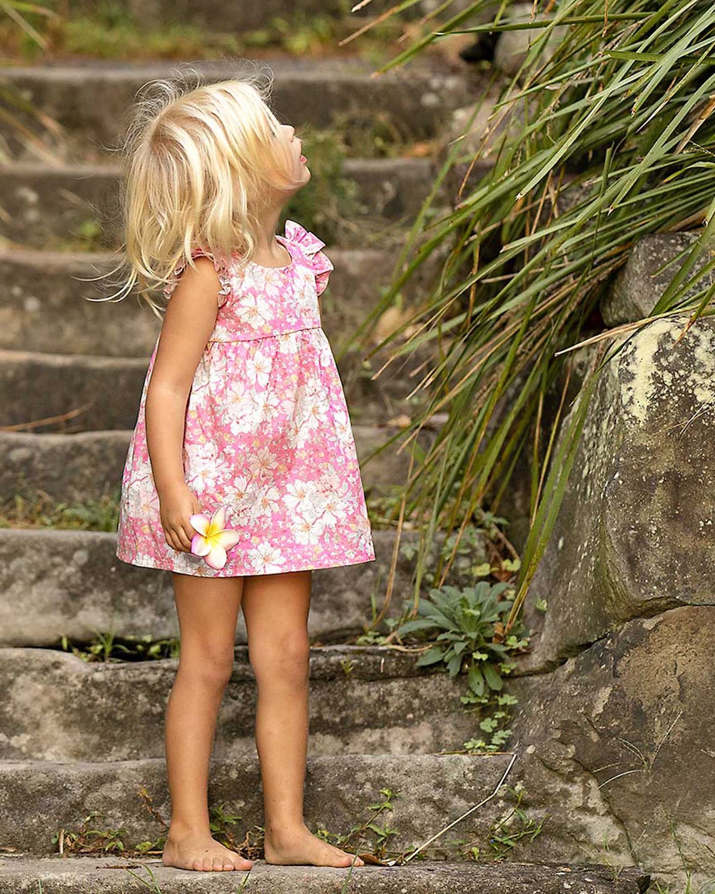 Toshi Baby Dress Yasmin - Honeysuckle