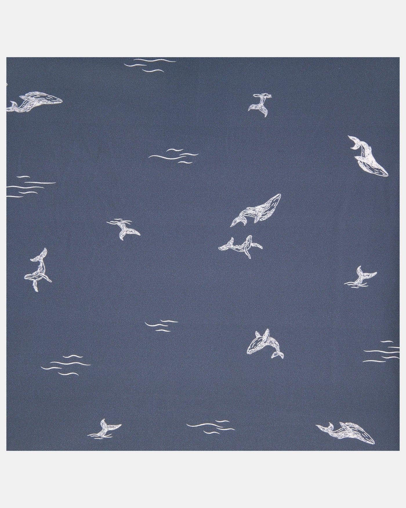 Toshi Swim Baby Nappy Classic - Whales