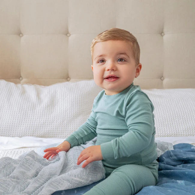 Aden and Anais Organic 2 pack Swaddle - Oceanic