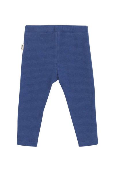 Bonds Wide Needle Rib Legging - Bastille Blue - Outlet Shop For Kids