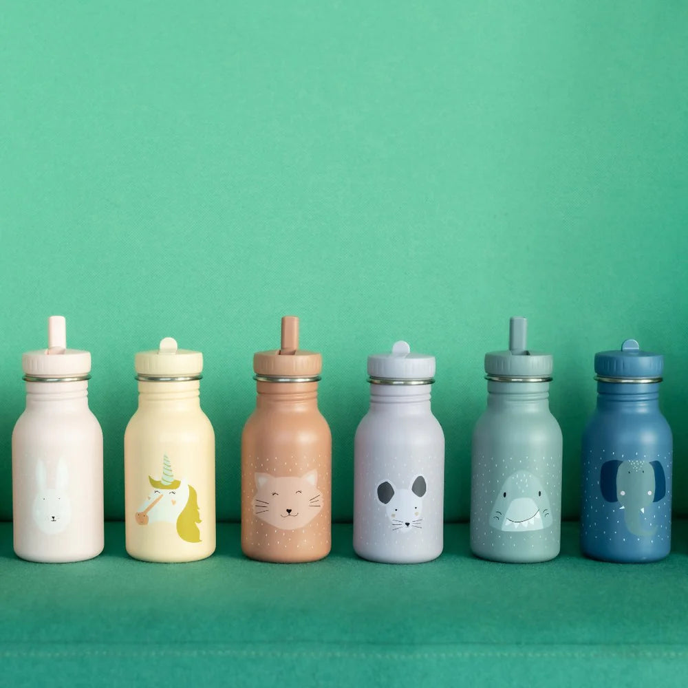 Trixie Bottle 500ml - Mr. Fox