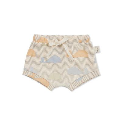 Kapow Kids Save The Whales Baby Shorts - Outlet Shop For Kids