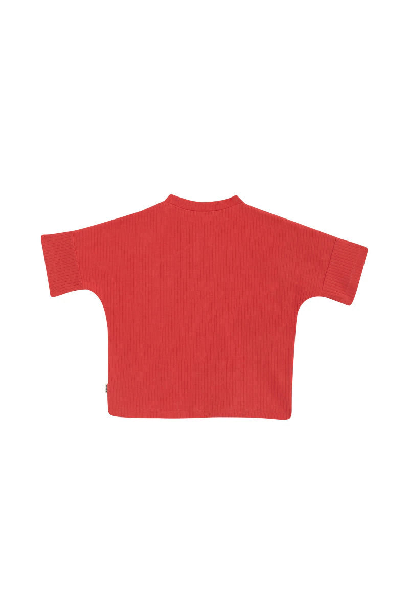 Bonds Kids Wide Rib Tee - Unicornicopia