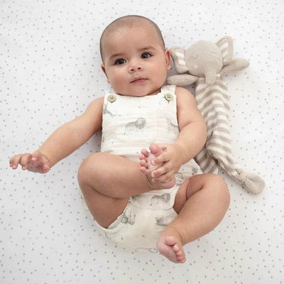 Living Textiles 2 Pack Bedside Sleeper Fitted Sheets - Savanna Babies - Outlet Shop For Kids