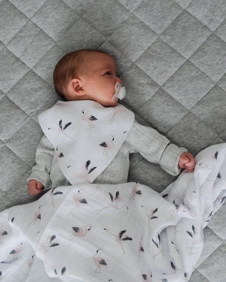 Mister Fly Dribble Bib - Flamingo - Outlet Shop For Kids